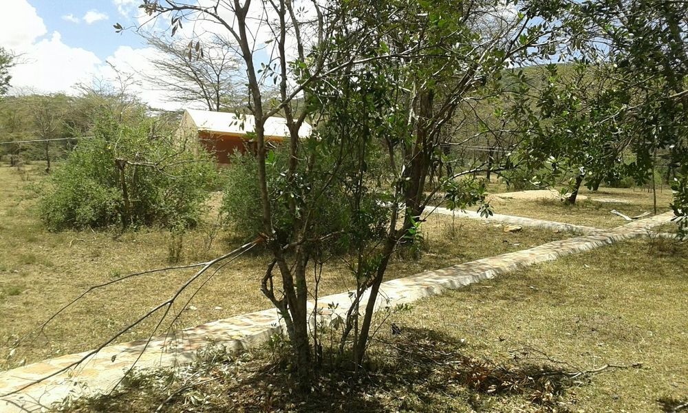 Enkolong Tented Camp Hotel Maasai Mara Exterior photo