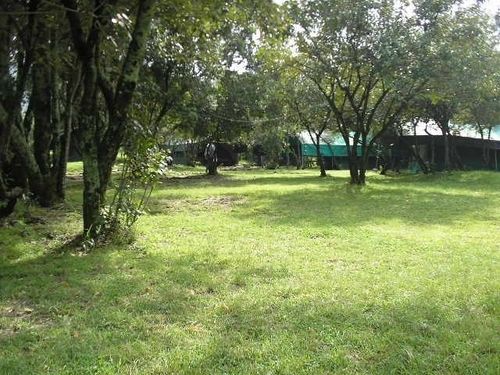 Enkolong Tented Camp Hotel Maasai Mara Exterior photo