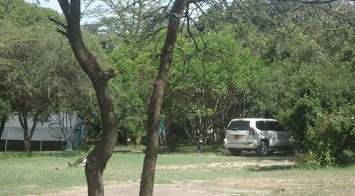 Enkolong Tented Camp Hotel Maasai Mara Exterior photo